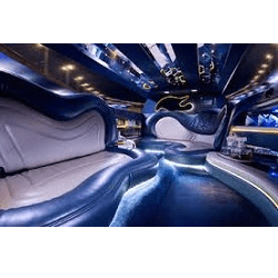 partybus 1 Planning a Birthday or Party? Book a Maxi Cab for Safe Group Travel