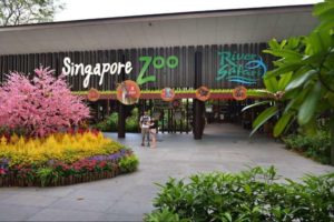 singaporezooentrance2 0 300x200 Top 8 Places to Visit in Singapore with Your Family – Book a Maxi Cab!